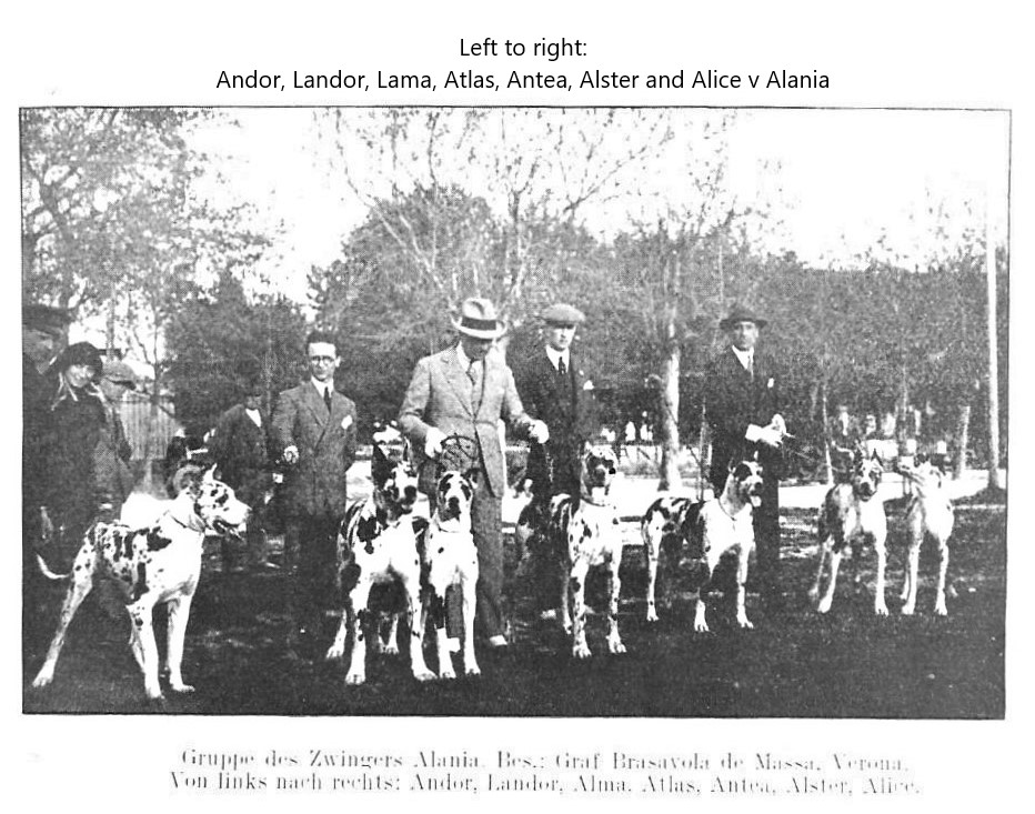 Andor Landor Alma Atlas Antea Alster Alice